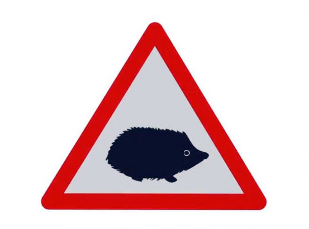В Великобритании вводят новый дорожный знак - Осторожно, ежи!